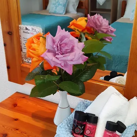 Διαμέρισμα Niki *