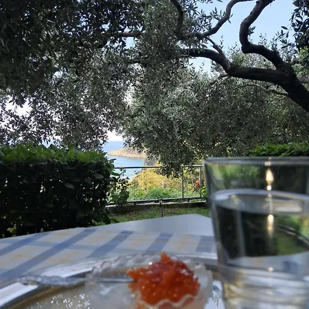 Διαμέρισμα Niki Κοίνυρα