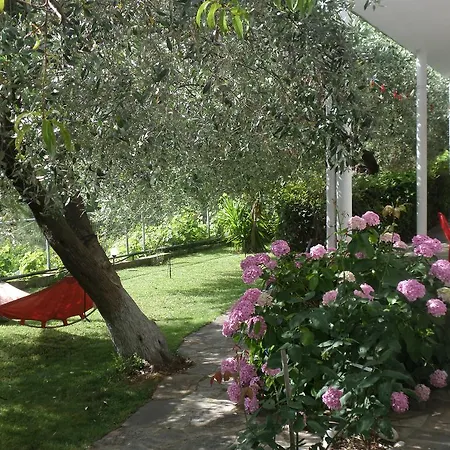 Niki アパート コイニラ