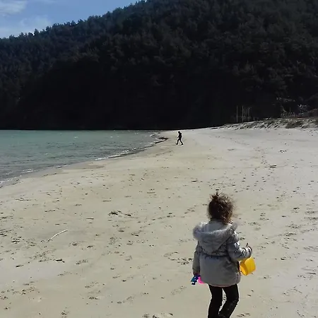 Niki Διαμέρισμα Κοίνυρα