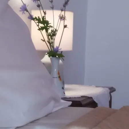 Apartment Niki